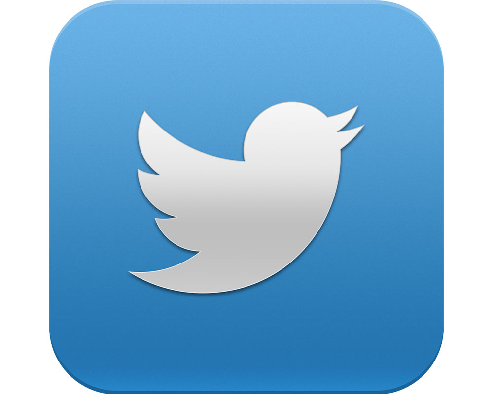 Twitter icon